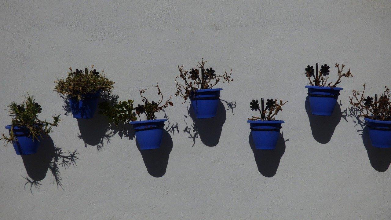 2. 顶立墙固报价