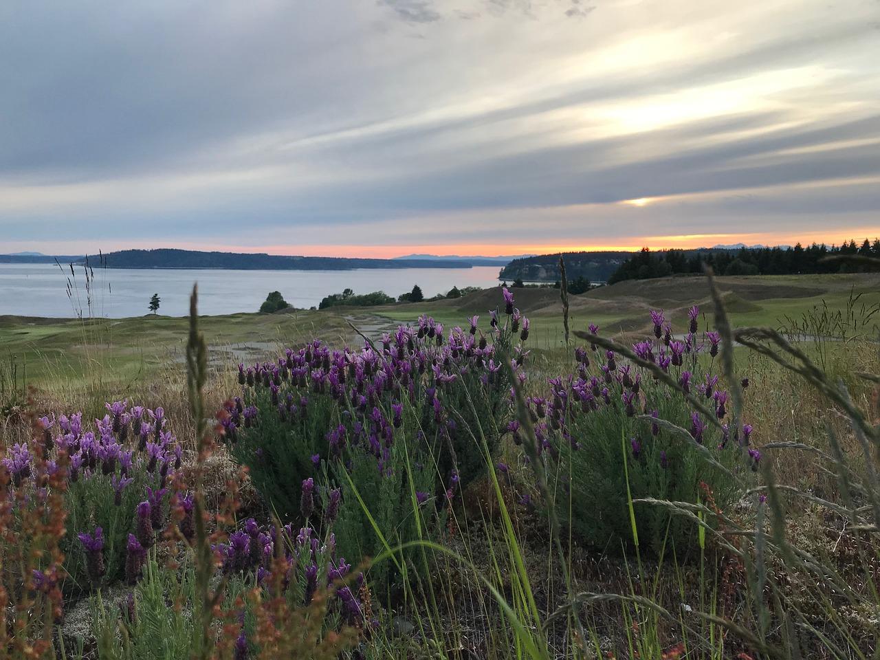 情绪淡然如什么意思