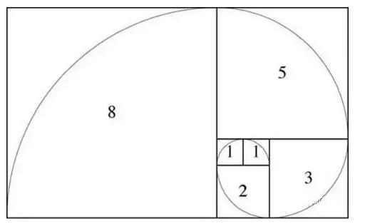 画图软件能不能画出海螺这样的螺旋线