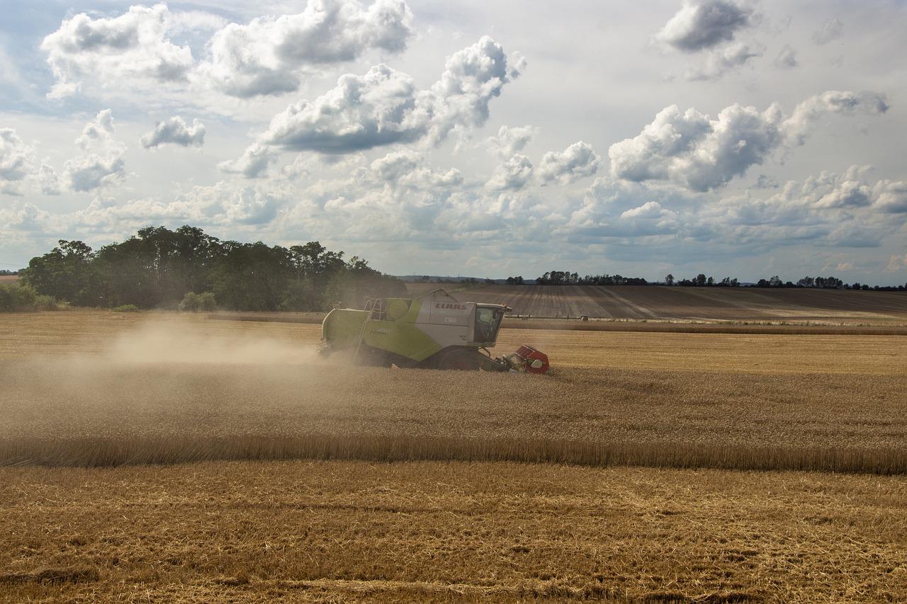 农活体验初体验