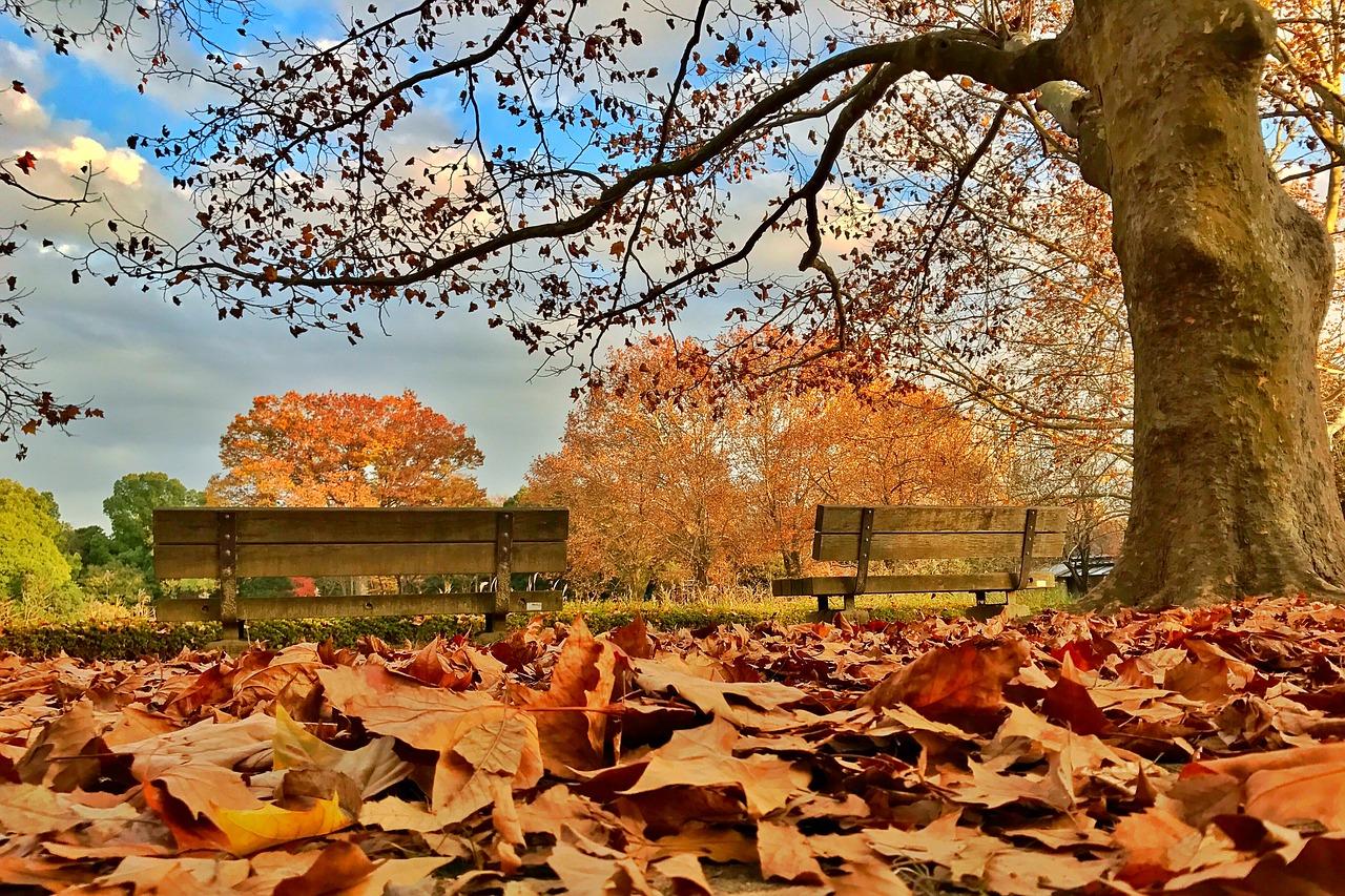 春意盎然的广州