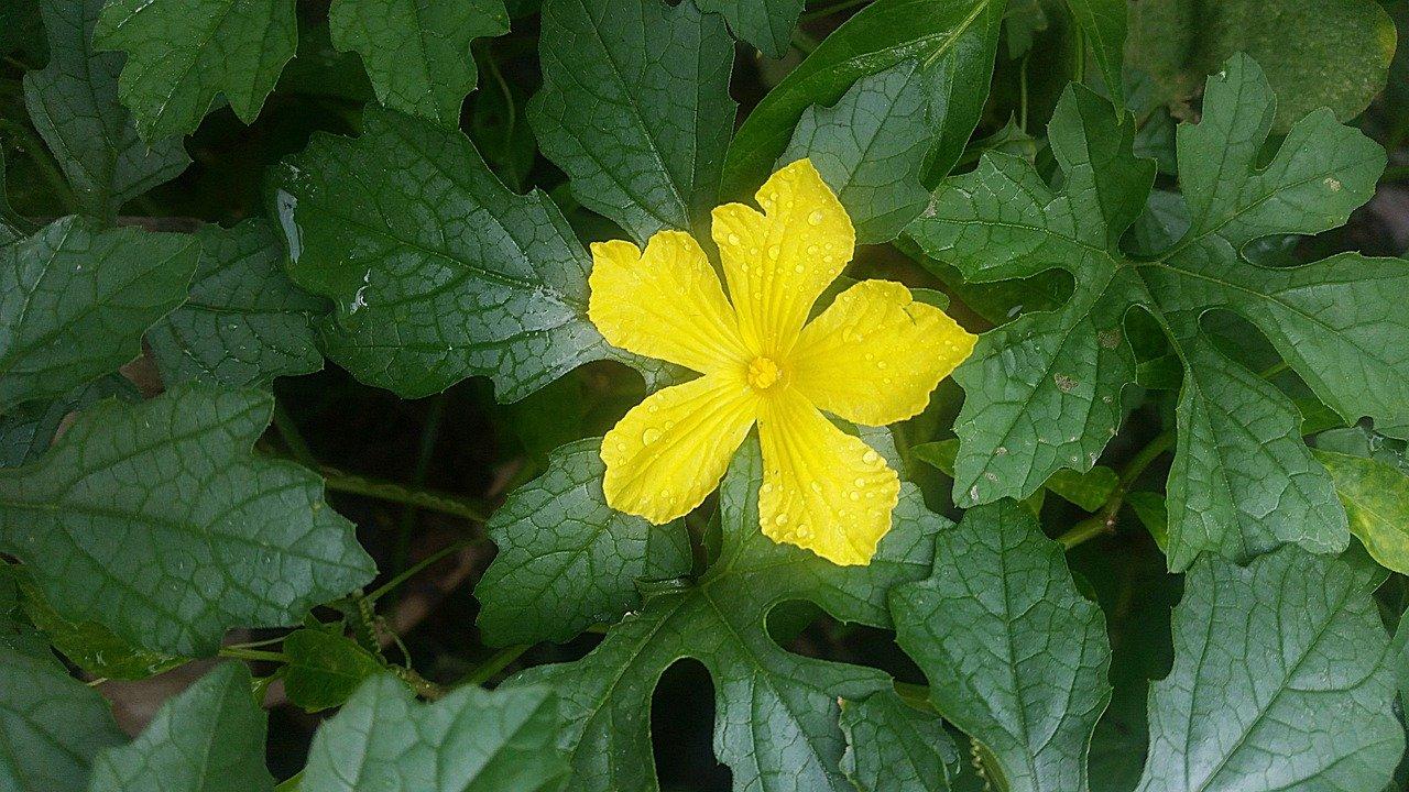 伊思品牌怎么样