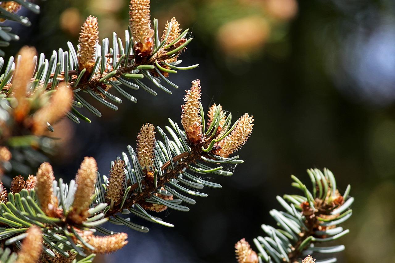 3. 松密度与舒适度