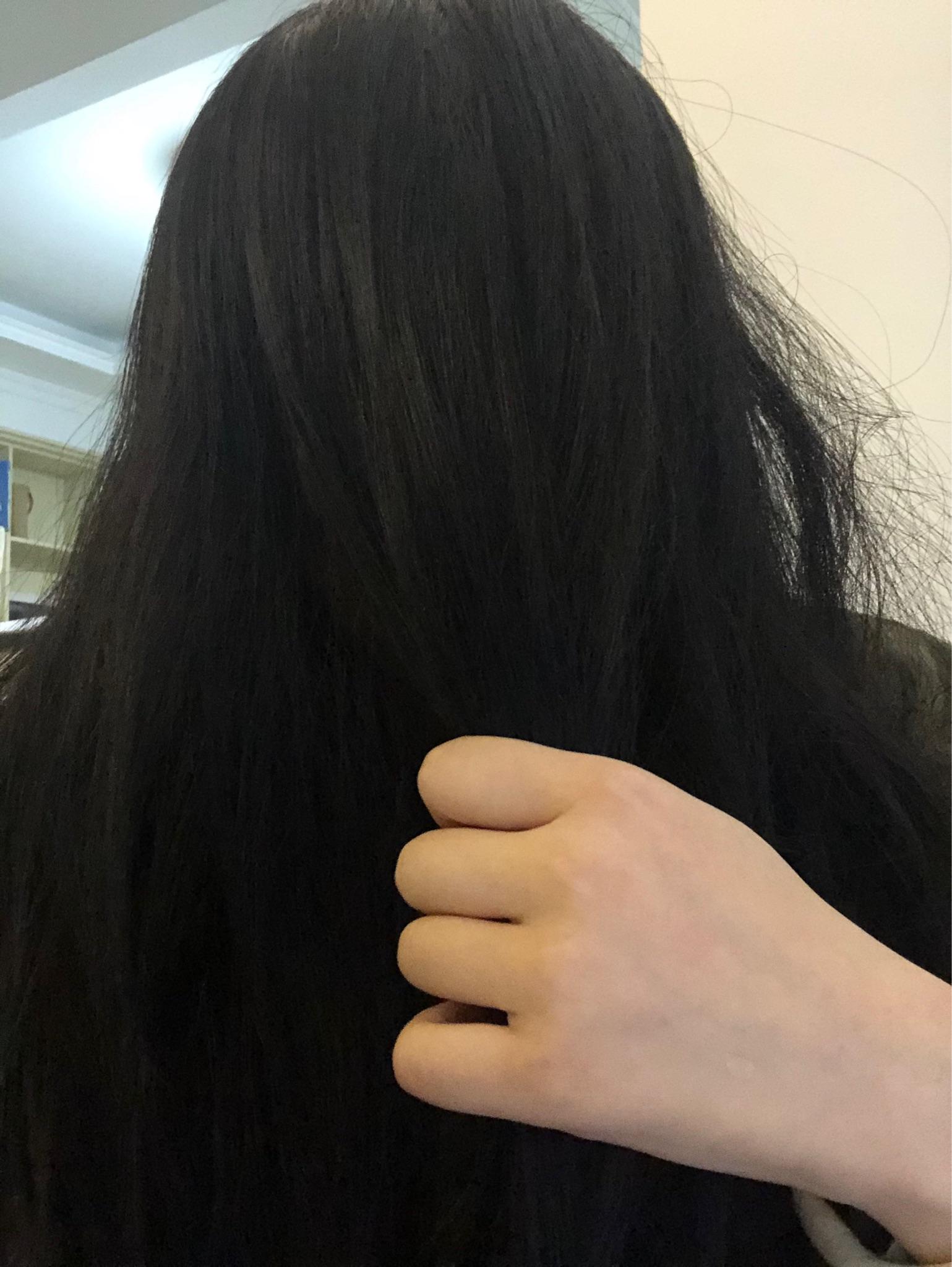 发量多是一种什么样的体验