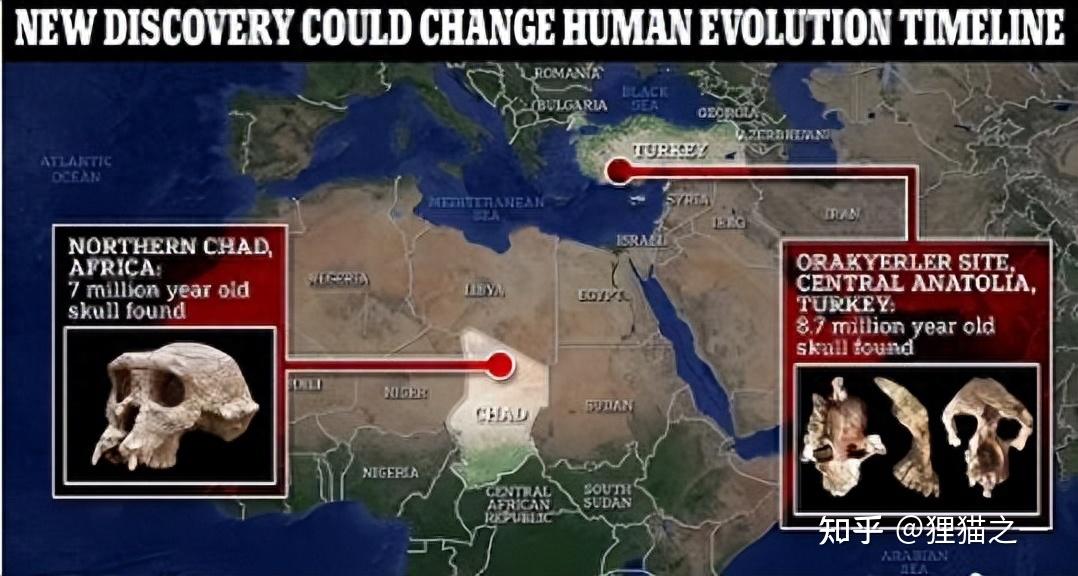 人类其实起源于欧洲?土耳其发现870万年前猿类头骨,有何信息? - 知乎