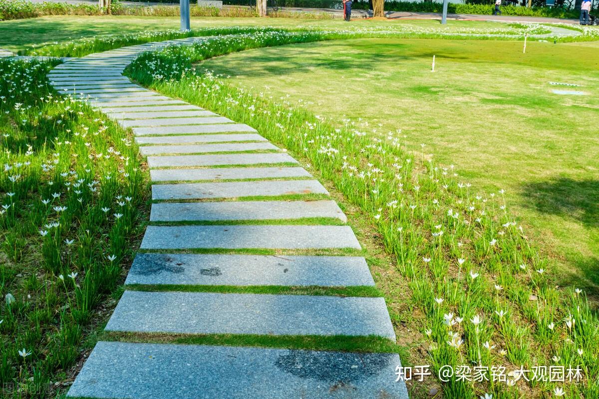 花园的草地装饰该怎么做? - 知乎