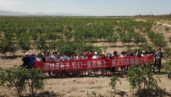归农商城丨归农电商:全力助农、兴农,推行自然农法 - 知乎