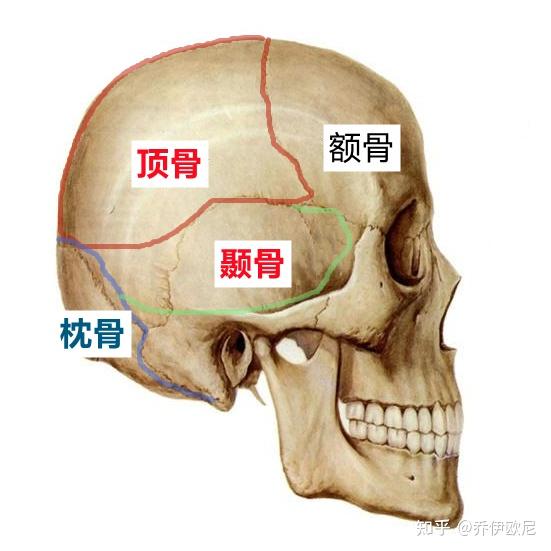 怎么判断自己到底是太阳穴凹陷还是颧骨突出啊
