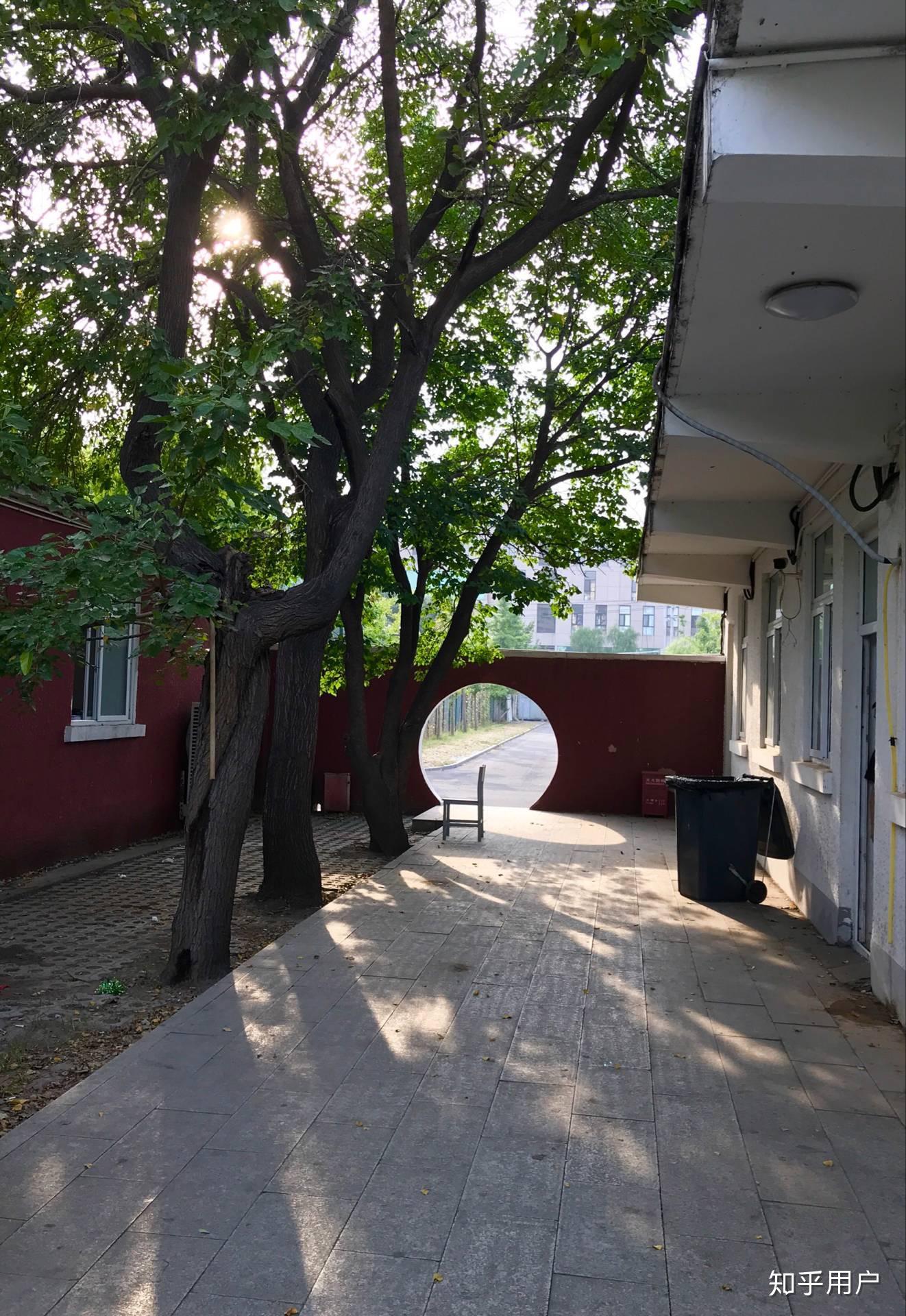 北京画室马超和成功轨迹怎么样