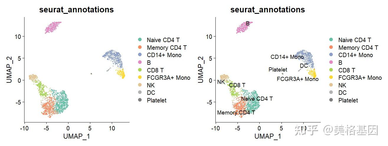 单细胞转录组 UMAP 图绘制与美化：一步解锁高颜值可视化 - 知乎