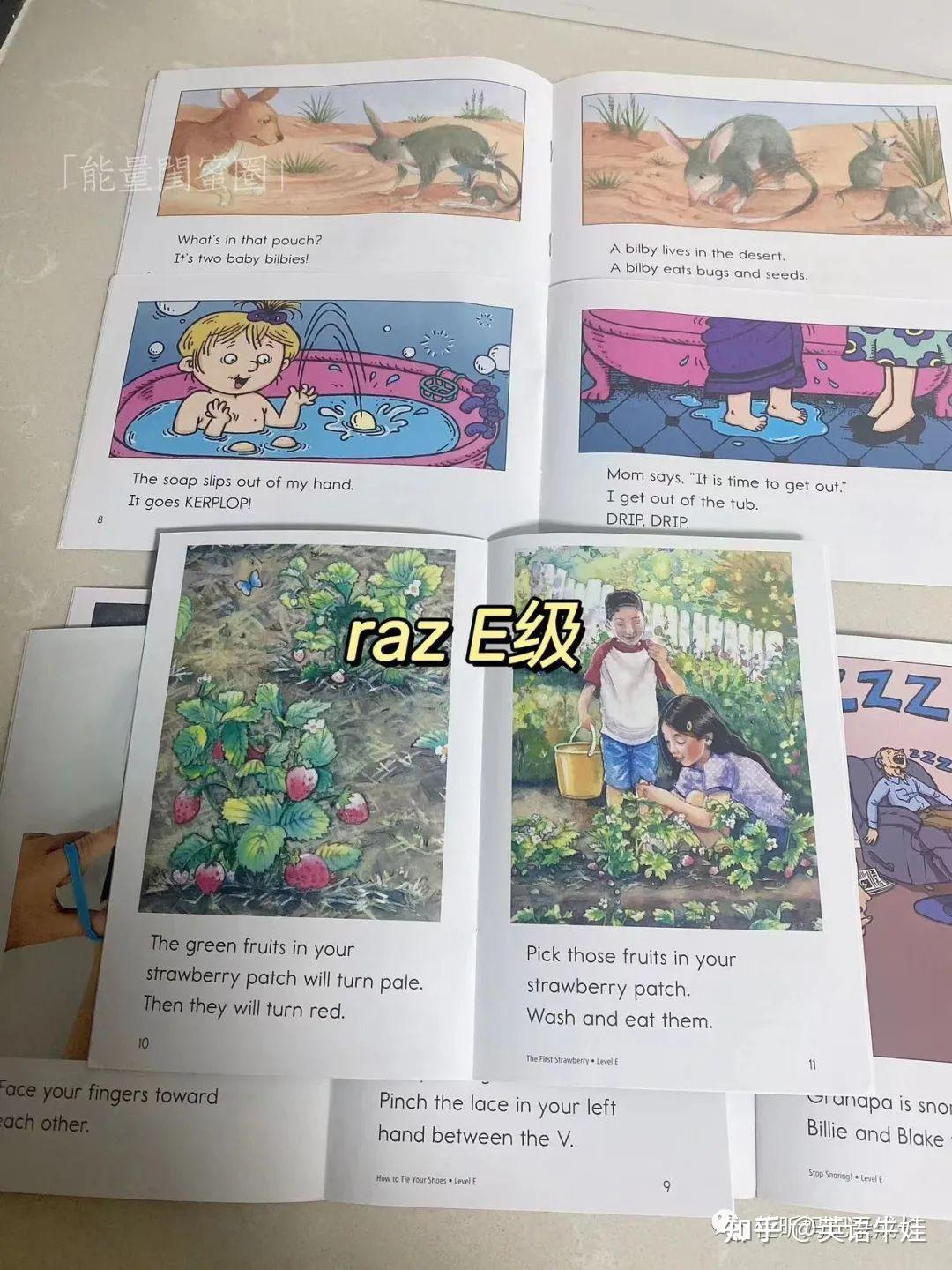 Raz Spring RAZ千万别买错,尤其小心正版,详细解读RAZ! - 知乎