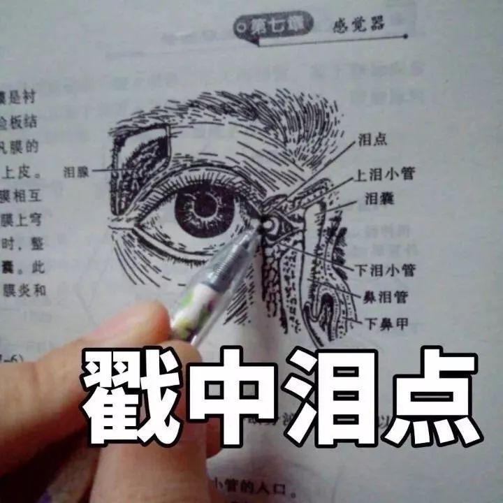 医学生表情包泪点图片