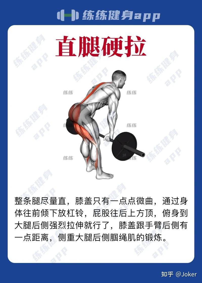 传统硬拉与罗马尼亚硬拉区别在那儿? - 知乎