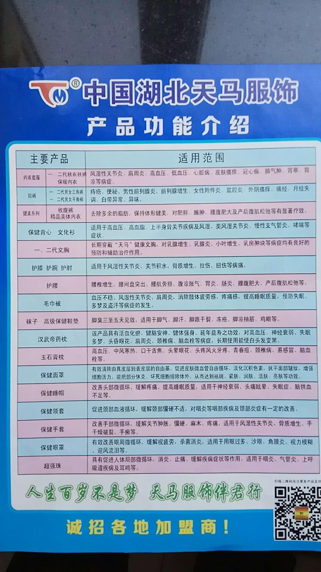 湖北天马服饰有限公司是一家怎样的公司