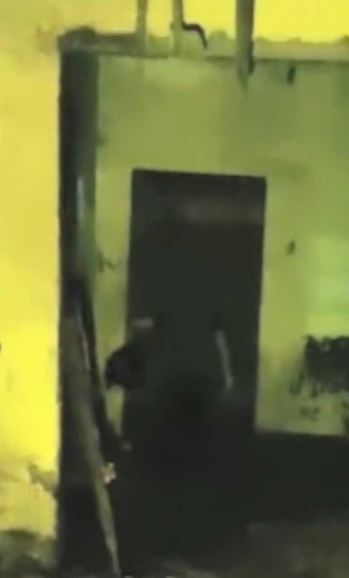 迷信传说里的墙贴子树趴子半截缸是什么样的