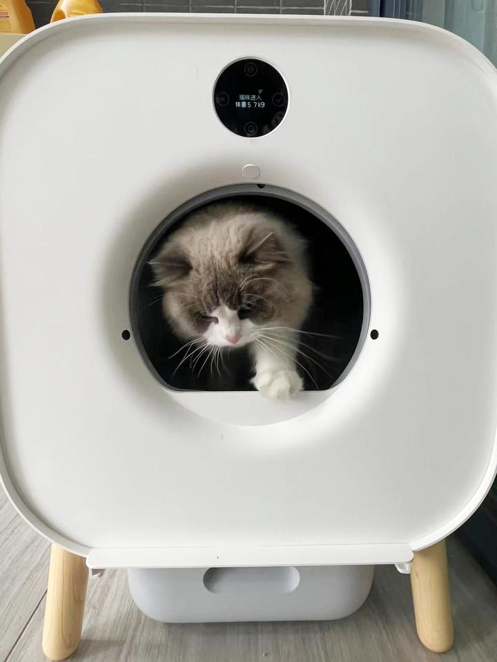 又一个家居小帮手 小顽智能全自动猫砂盆上线 - 知乎