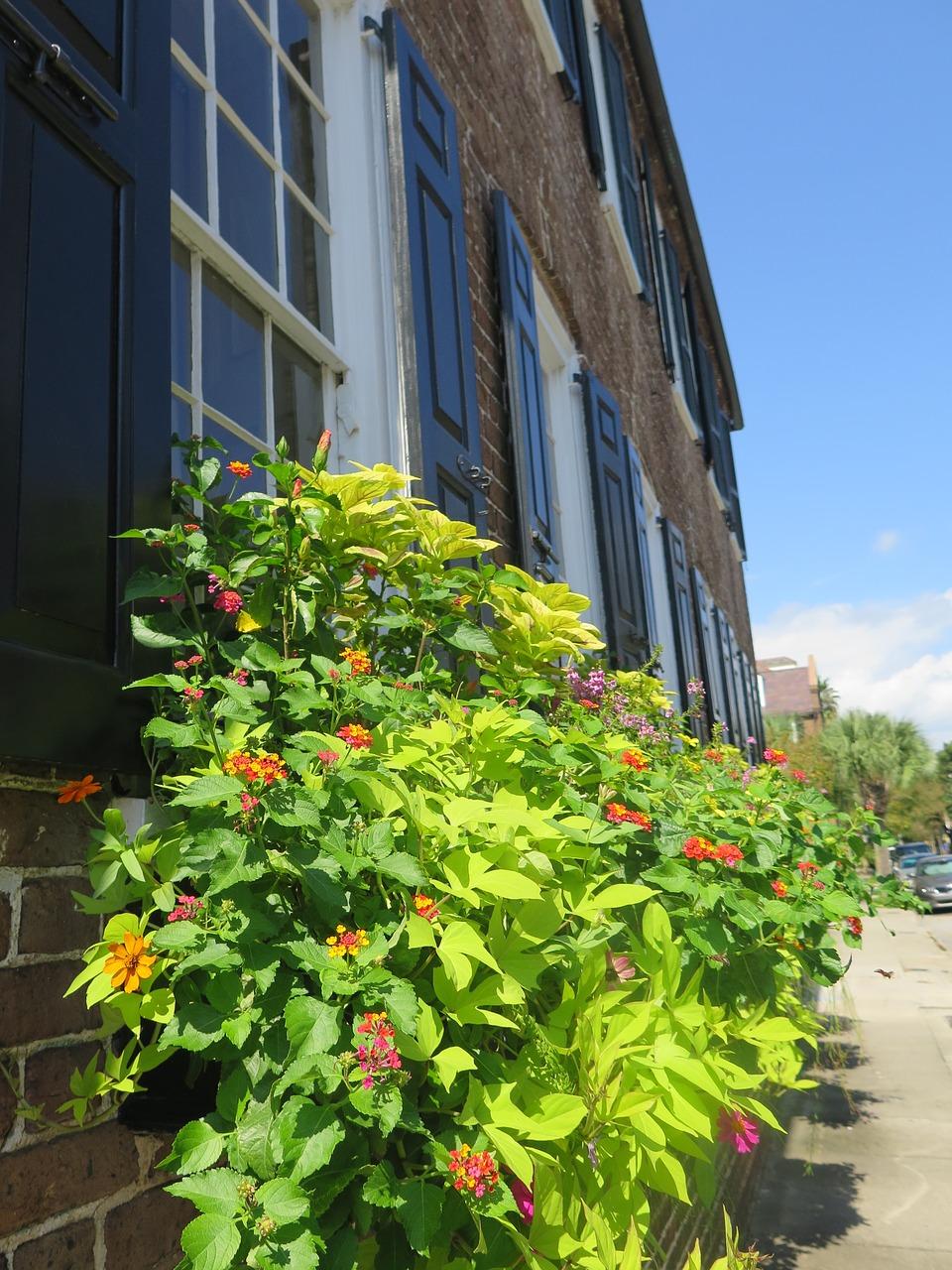 什么是空间花艺