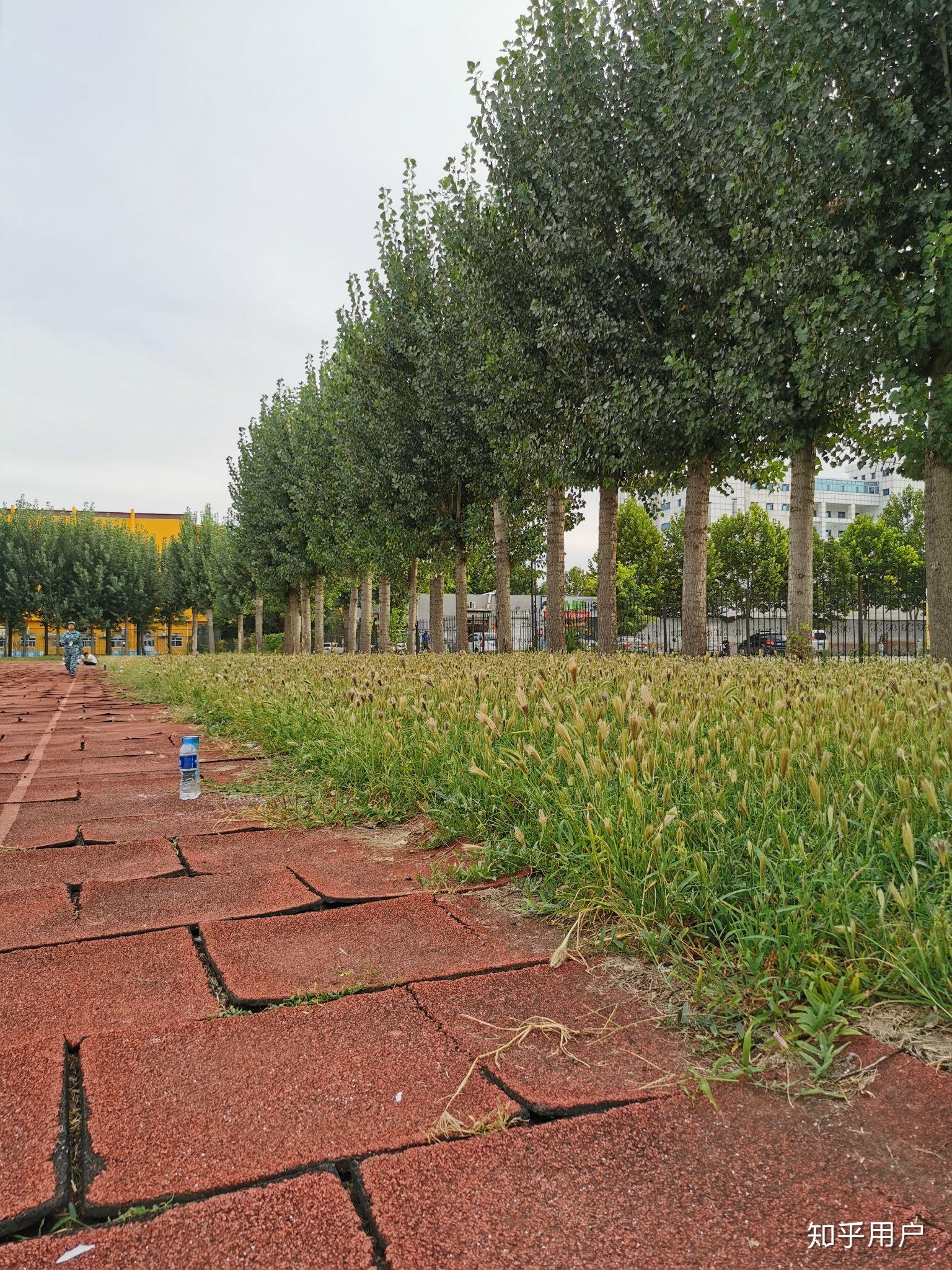 北京中醫藥大學東方學院廊坊校區怎麼樣