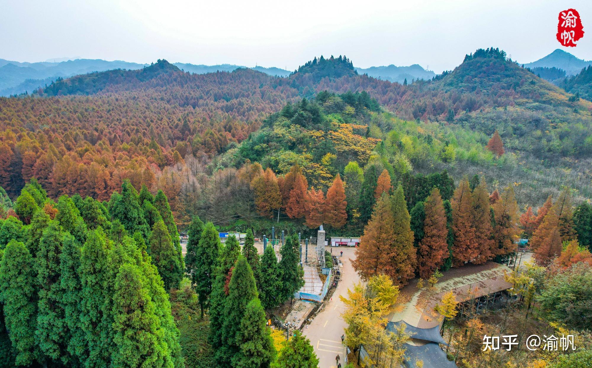 山王坪森林公园图片图片