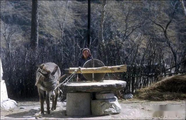 50幅老照片带你体验上世纪70/80年代的农村艰苦生活 - 知乎