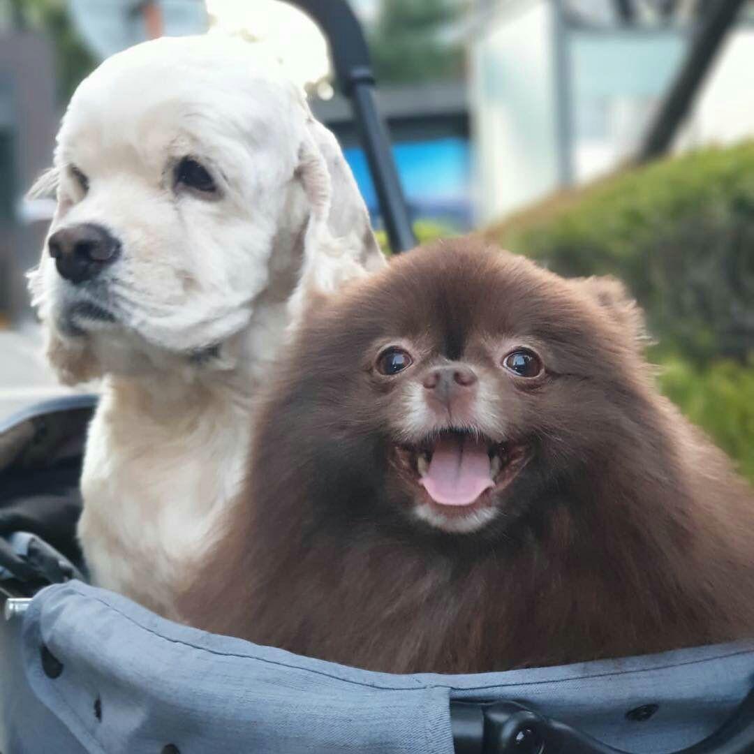 如何让jennie爱上我? - 知乎