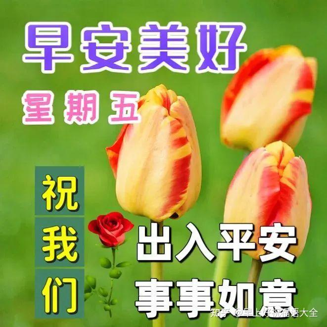 5月19日周五早上好最新版清晨祝福语问候语 - 知乎