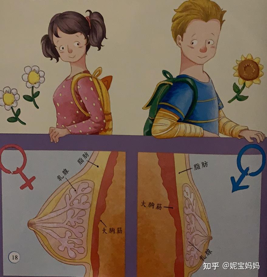 给自己的孩子不满一岁喂奶时胸部不小心被孩子看见我该怎么办