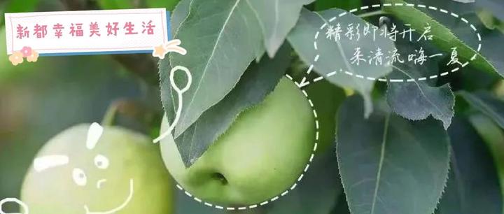 福利 | 好“梨”相送! - 知乎