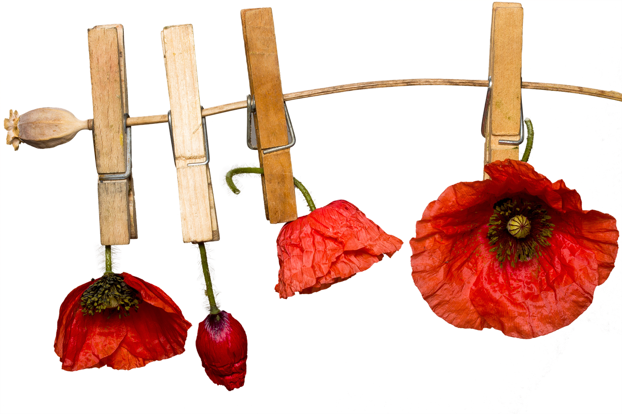 3. 被子舒适度解析