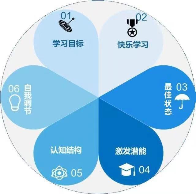 如何持续高效学习 - 知乎