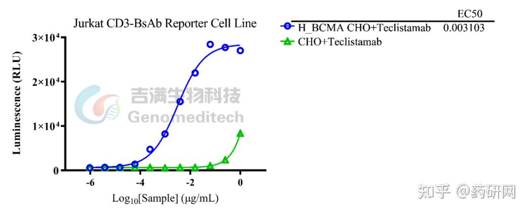 ASCO 2025大会中的黄金靶点 CD3 双/三抗 - 知乎