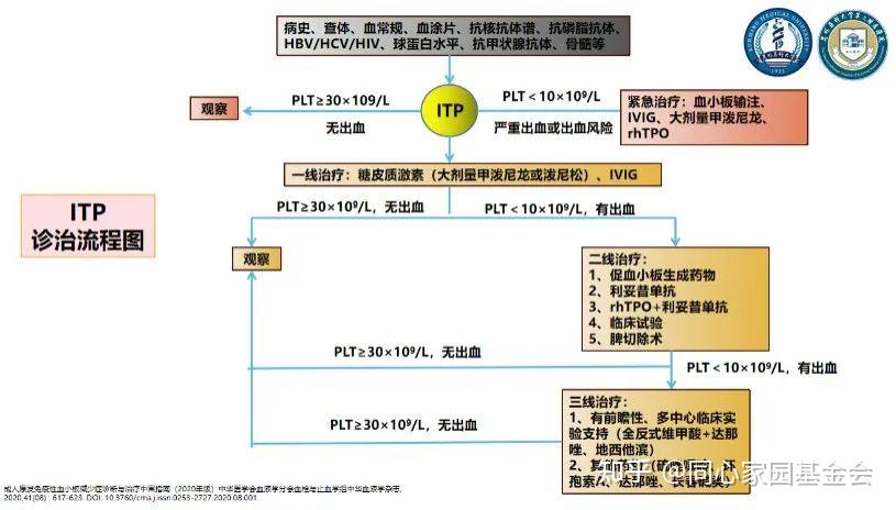 Itp Method 专家讲座 | ITP患者必读,周泽平教授带您解读治疗全方案 - 知乎