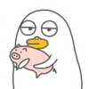 西柚