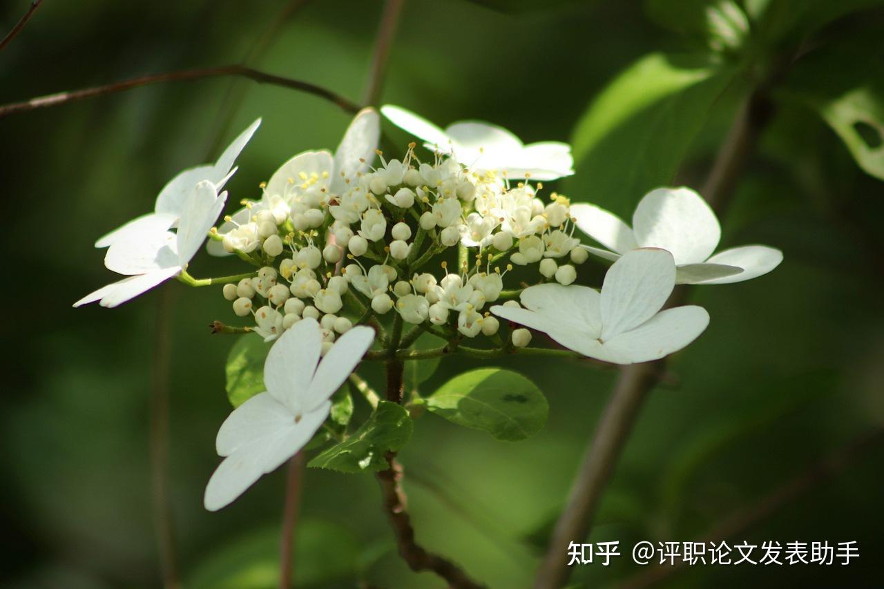 注意----核心遴选是核心期刊吗？ - 知乎