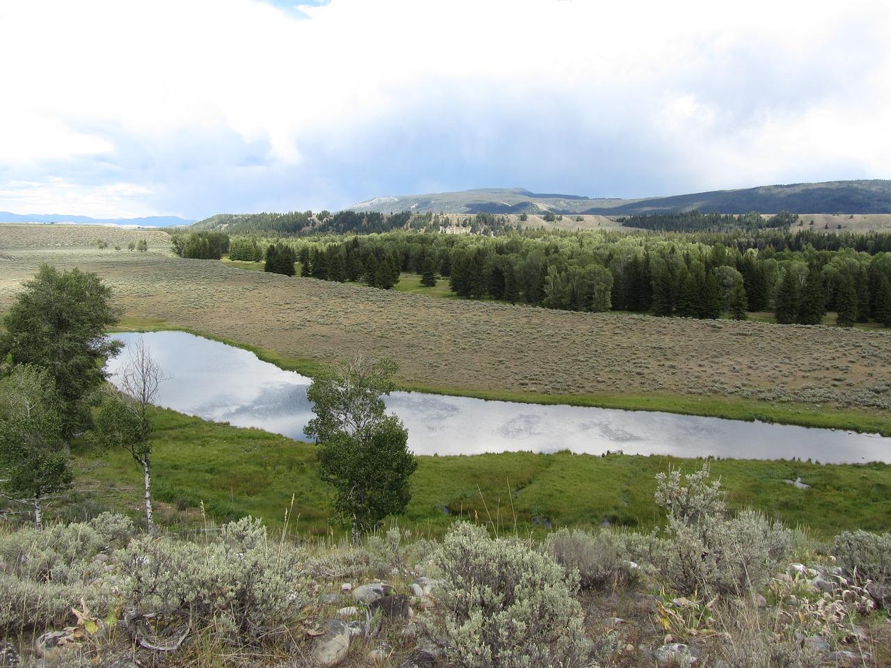 2. 河沣生态平衡