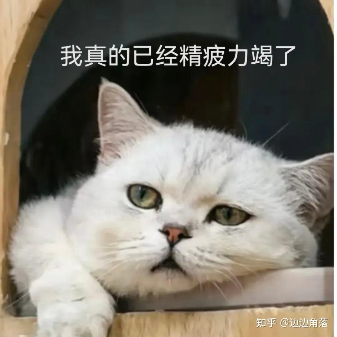 为了清理床底这5cm,我差点把腰闪了!直到追觅T70 Ultra洗地机发明了这个“机械臂”