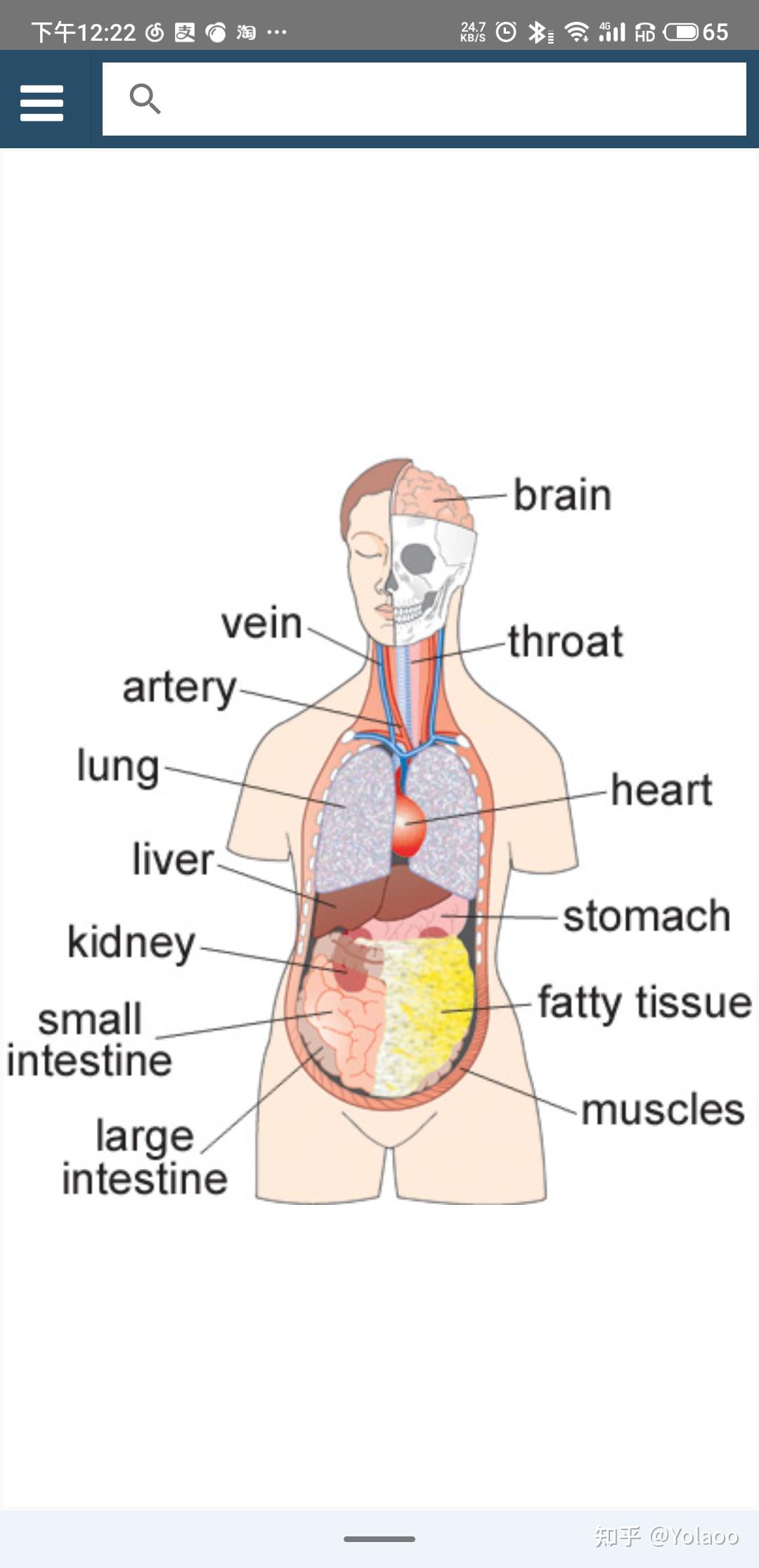 英专学生求推荐可以查单词英文释义的查词软件