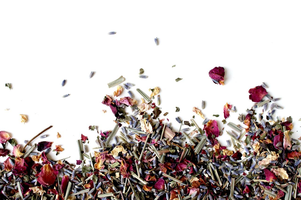 鲜花如何能够生根