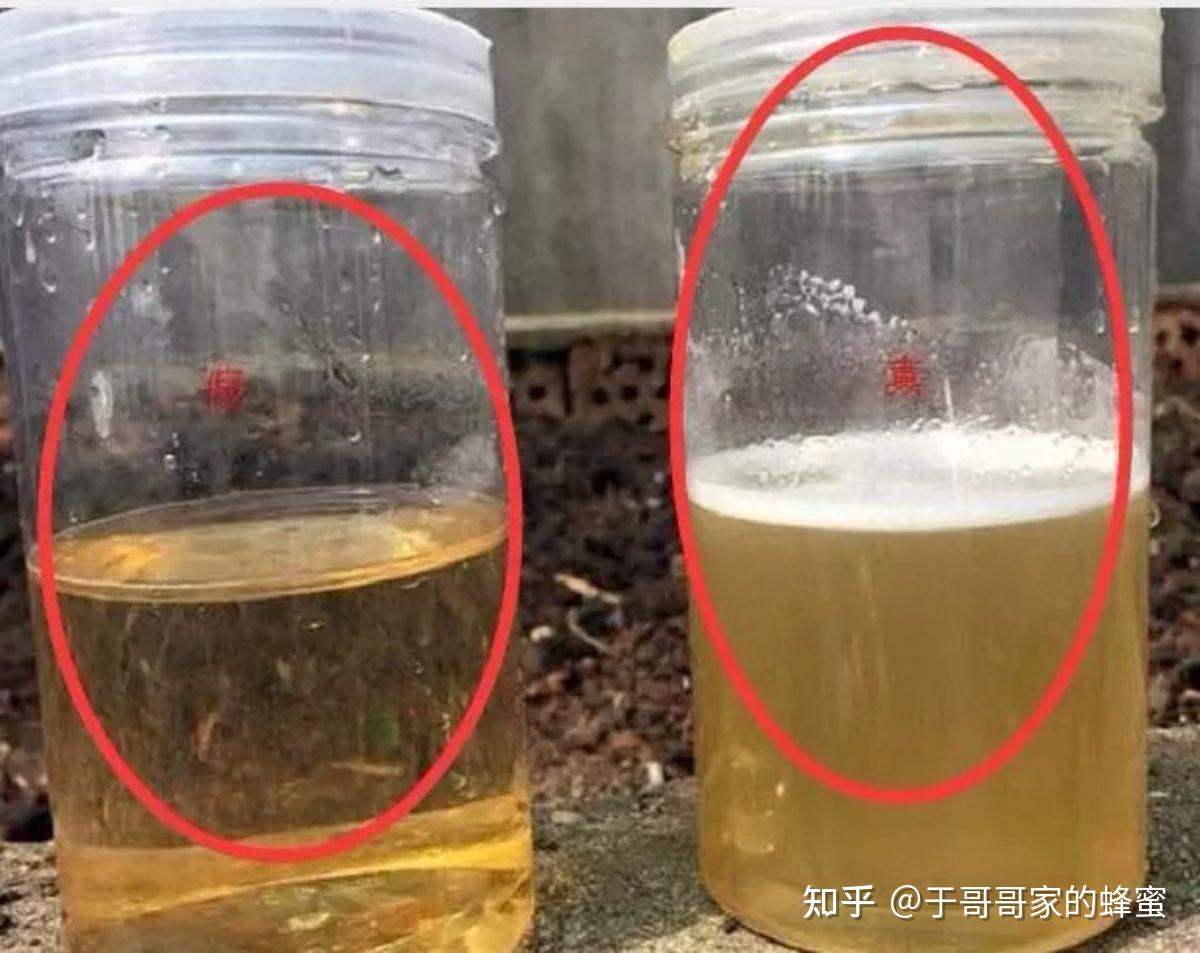 蜂蜜真假鉴定方法知乎(蜂蜜真假鉴别有哪些小窍门?)