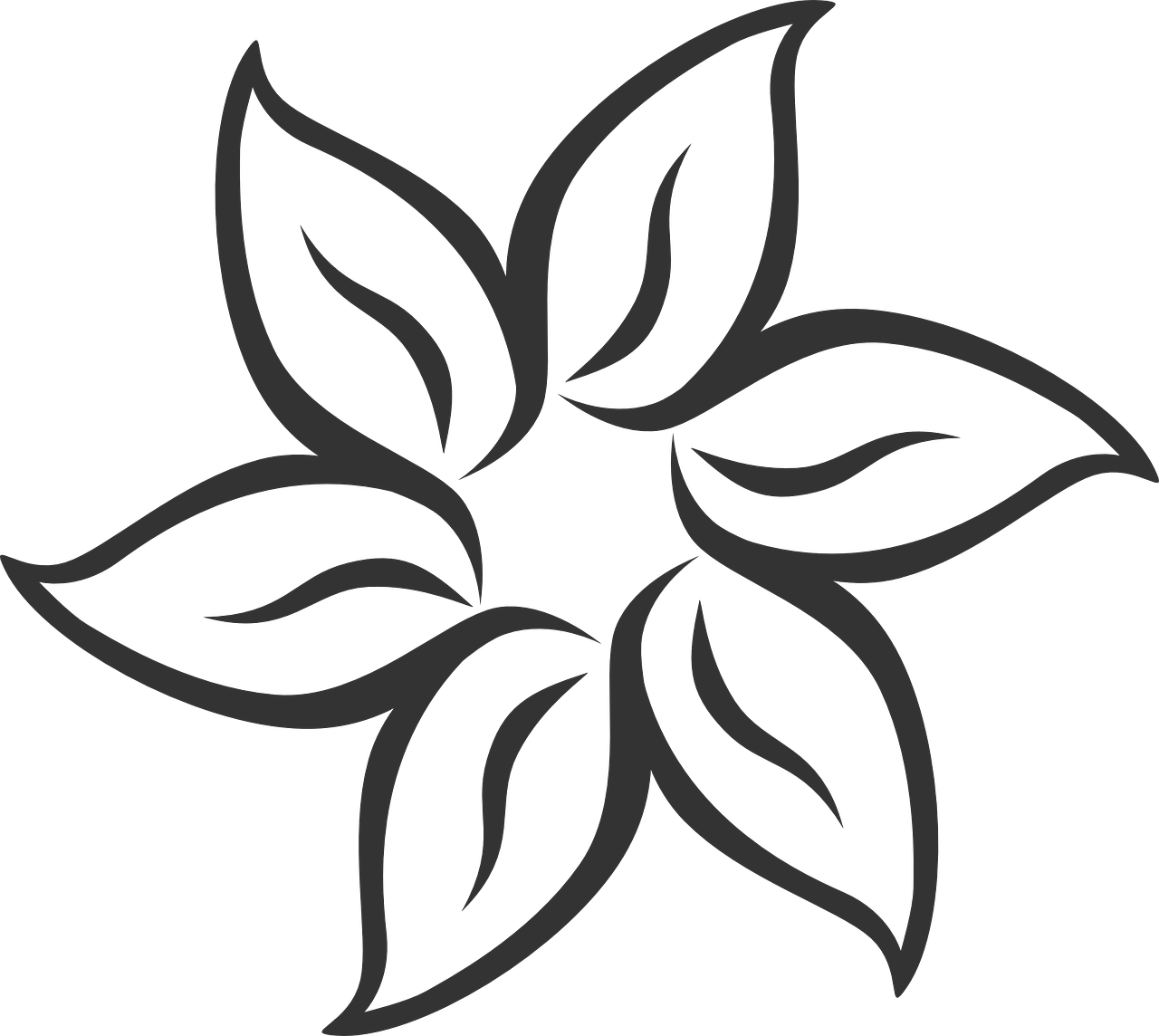 3. 圆叶花养护要点