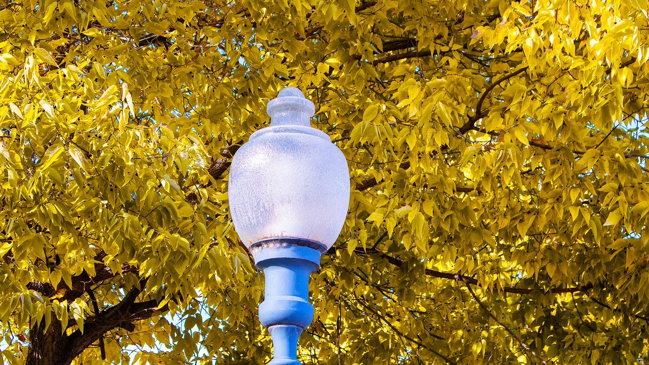 4. 电源电压异常