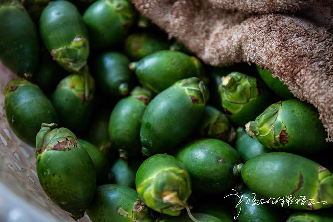 槟榔和橄榄的区别