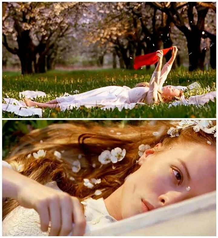 请问一下捷克暗黑童话电影野花kytice出自哪些童话故事