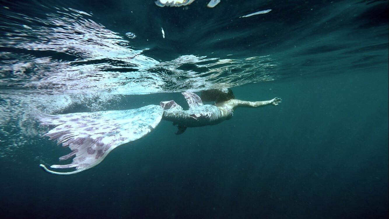 世界上有没有可能有美人鱼,海底人类的可能性有多大?