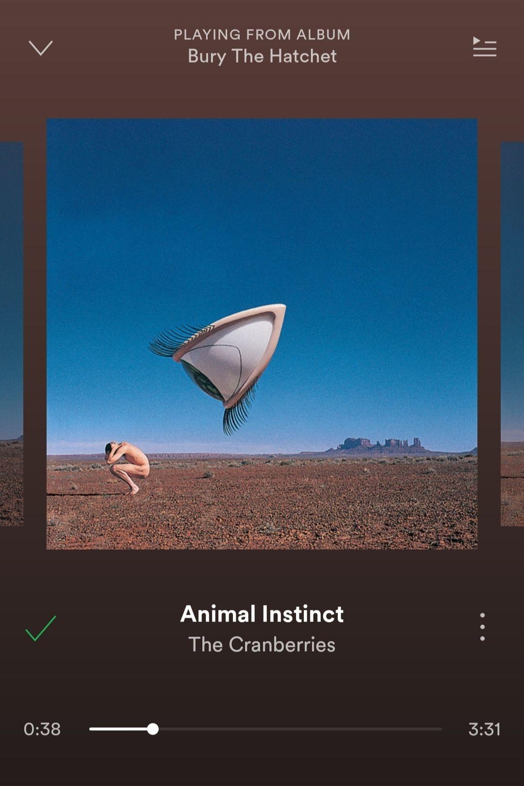 怎么评价小红莓乐队(the cranberries) ? - 知乎