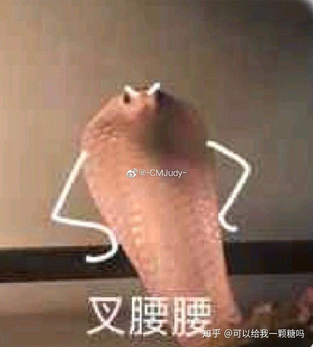 有没有一些蛇的表情包?