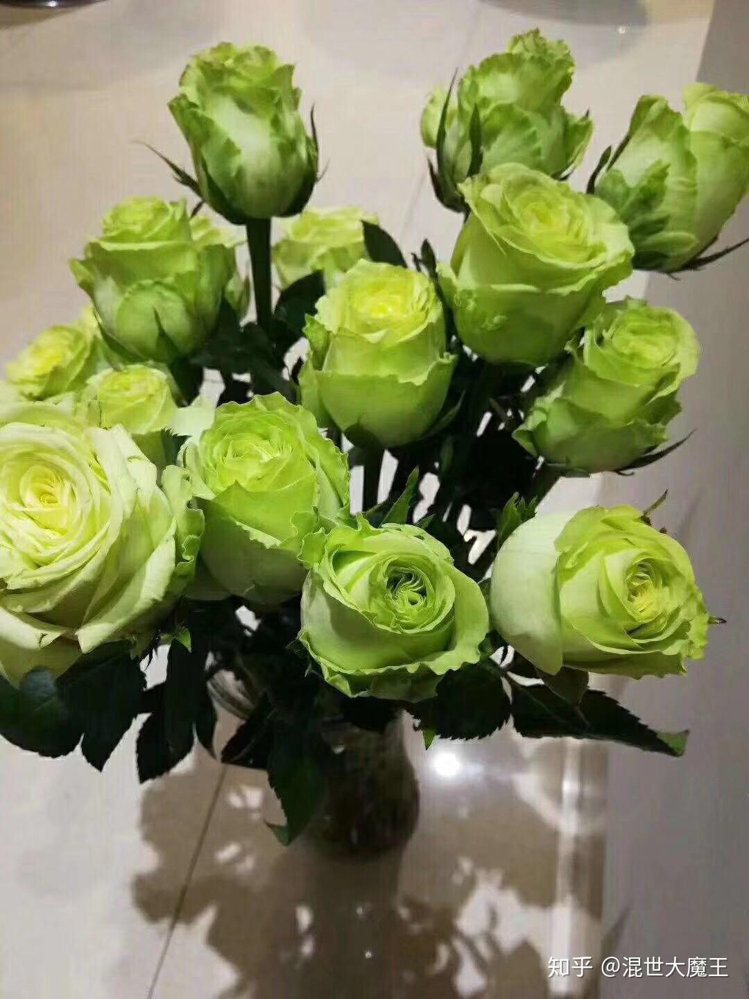 有原生绿色玫瑰花吗