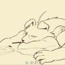 Zhihu profile picture for @paleontologist
