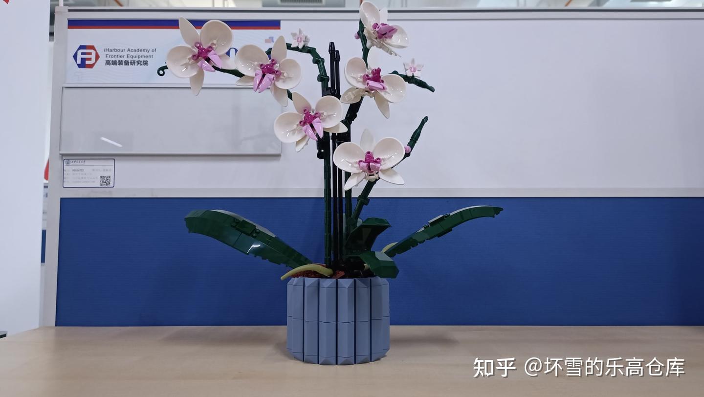 植物系列最佳,不输爆款花束!乐高10311兰花测评 - 知乎