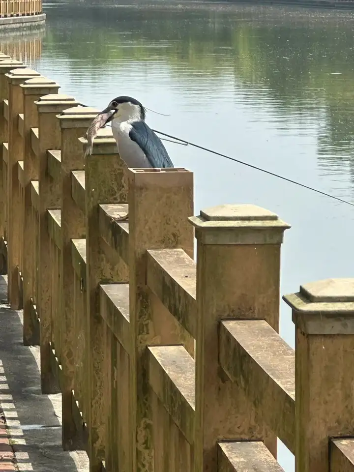 瞎扯 · 如何正确地吐槽